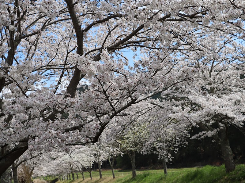 上小倉 公園