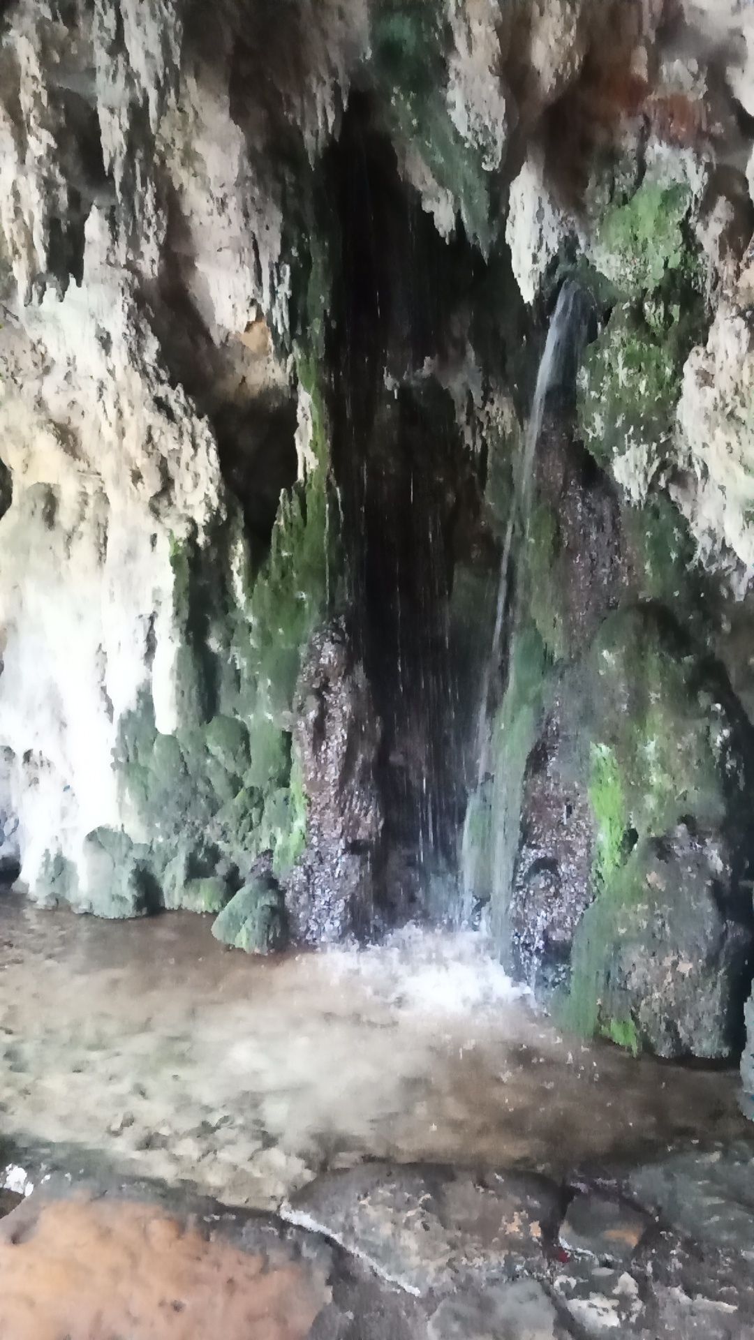 Photo n° 6 de l'avis de Dominique. fait le 15/08/2023 à 10:10