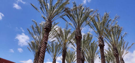 Tourist Attraction «Irvine Spectrum Ferris Wheel», reviews and photos, 101 Spectrum Center Dr, Irvine, CA 92618, USA