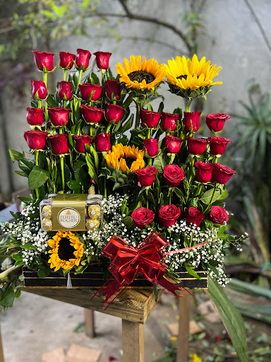 Florería jardín zacualtipán – Zacualtipan