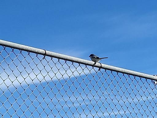 Park «Plantation Central Park», reviews and photos, 9151 NW 2nd St, Plantation, FL 33324, USA