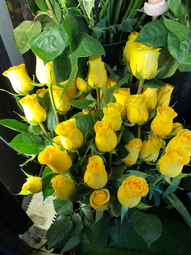 Florist «Cypress Gardens Flower Shop», reviews and photos, 10691 SW 72nd St, Miami, FL 33173, USA