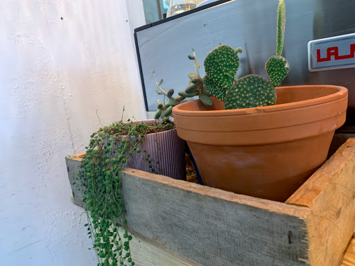 Restaurant «Six Shooter Coffee: Waterloo Café», reviews and photos, 16021 Waterloo Rd, Cleveland, OH 44110, USA