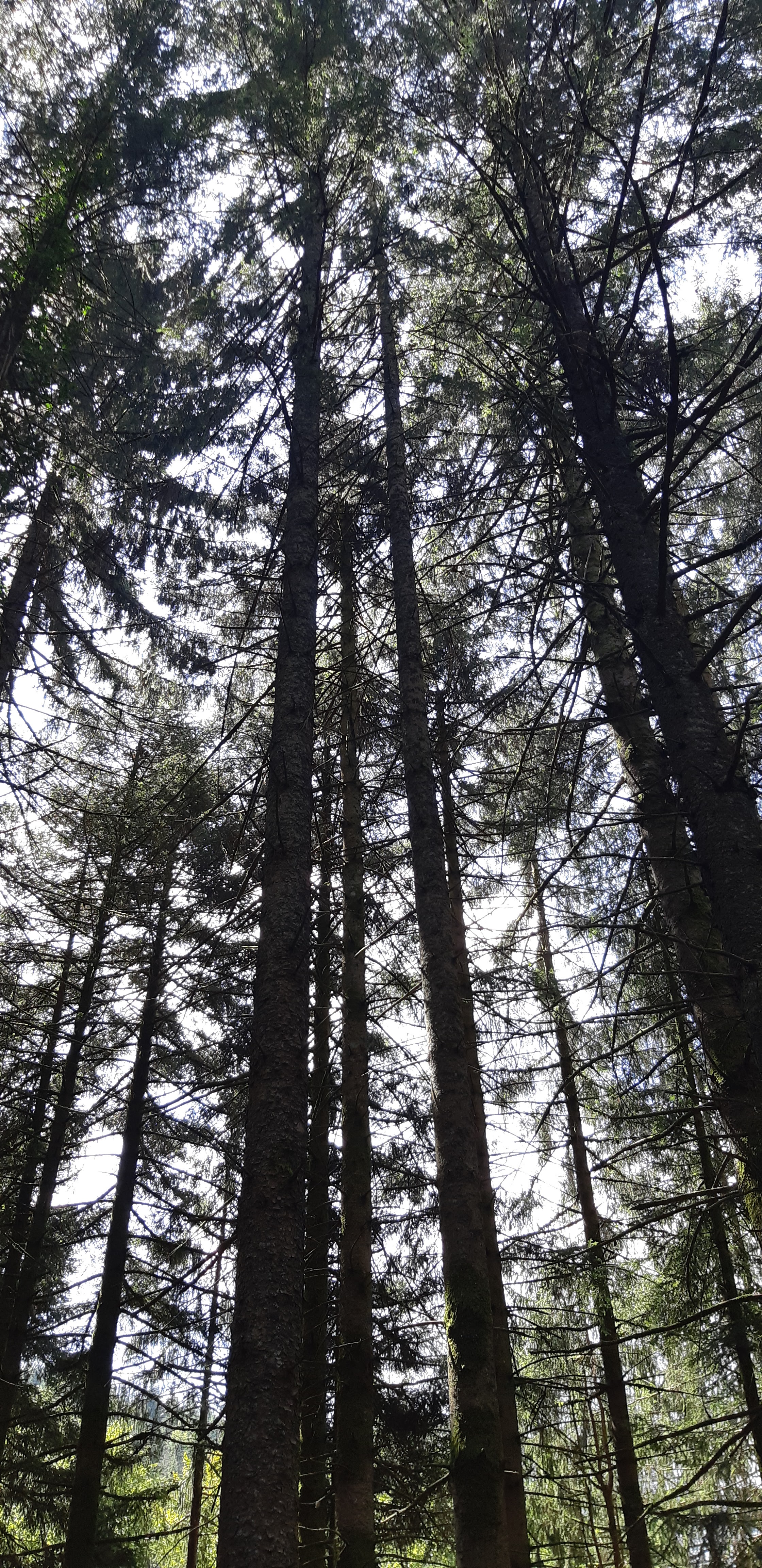 Photo n° 24 de l'avis de Anthony. fait le 03/08/2019 à 16:00