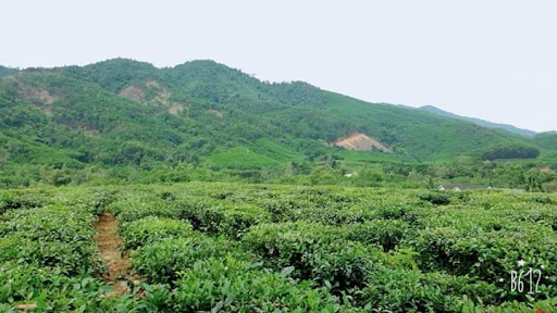 Top 20 cửa hàng thịt sạch Huyện Đông Giang Quảng Nam 2022