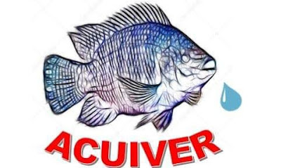 Acuiver