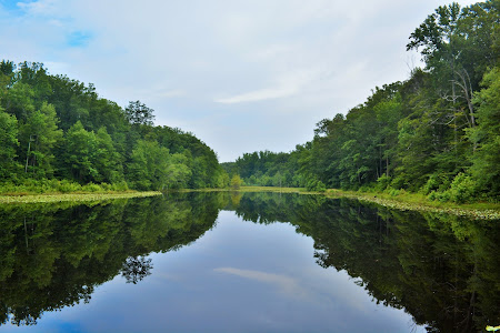 Cedarville State Forest