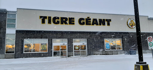 Tigre Géant