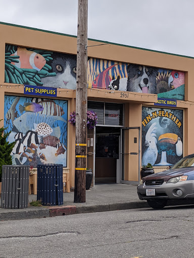 Pet Store «Fin-N-Feather», reviews and photos, 2931 F St, Eureka, CA 95501, USA