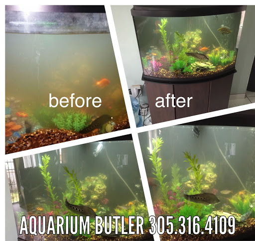 Aquarium Butler