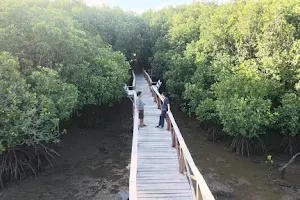 Kawasan Wisata Mangrove Luppung image