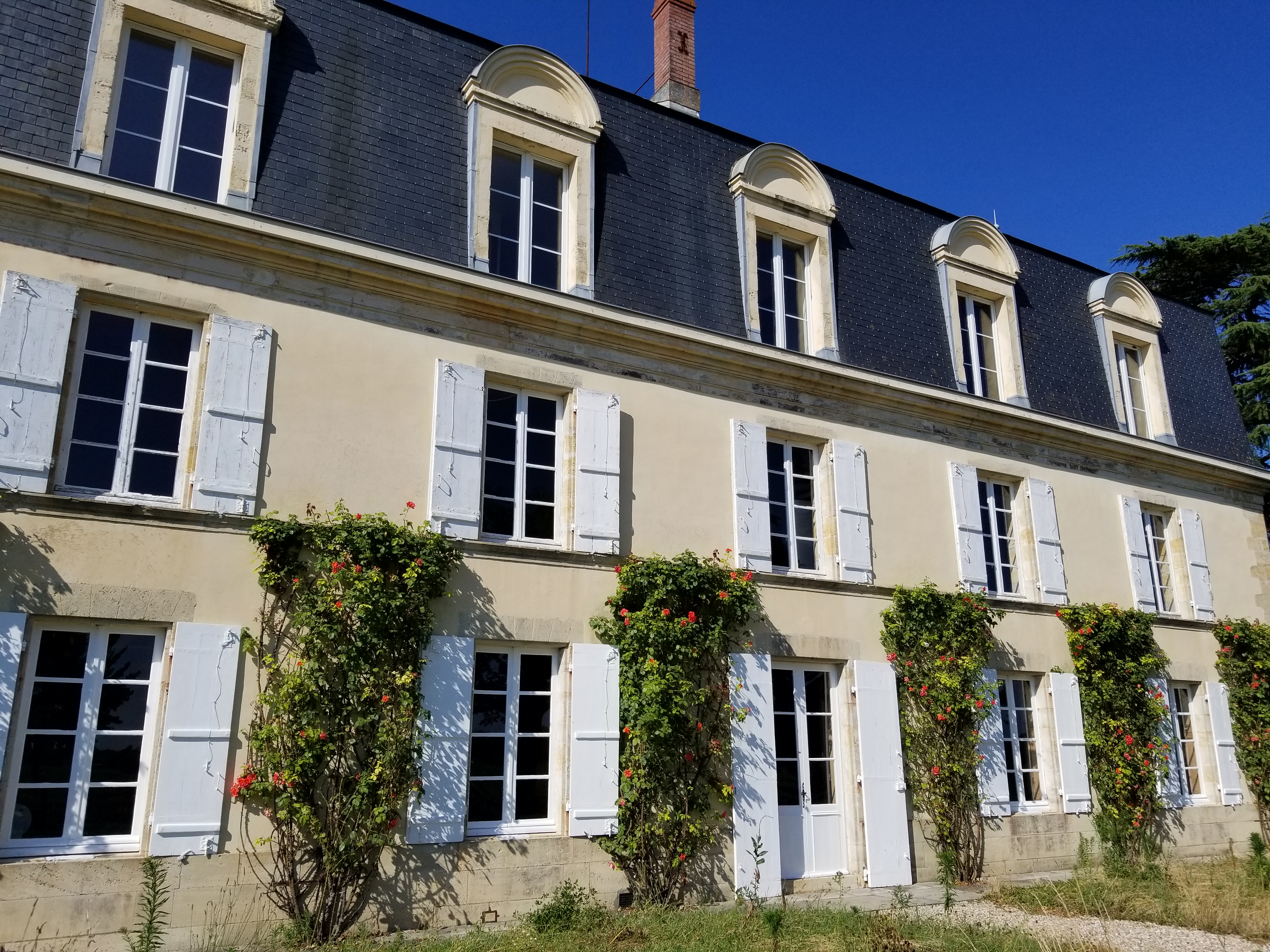 Photo n° 5 de l'avis de Yossi. fait le 30/07/2018 à 21:53