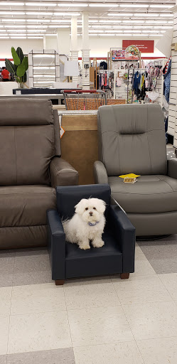 Department Store «HomeGoods», reviews and photos, 344 W Army Trail Rd, Bloomingdale, IL 60108, USA