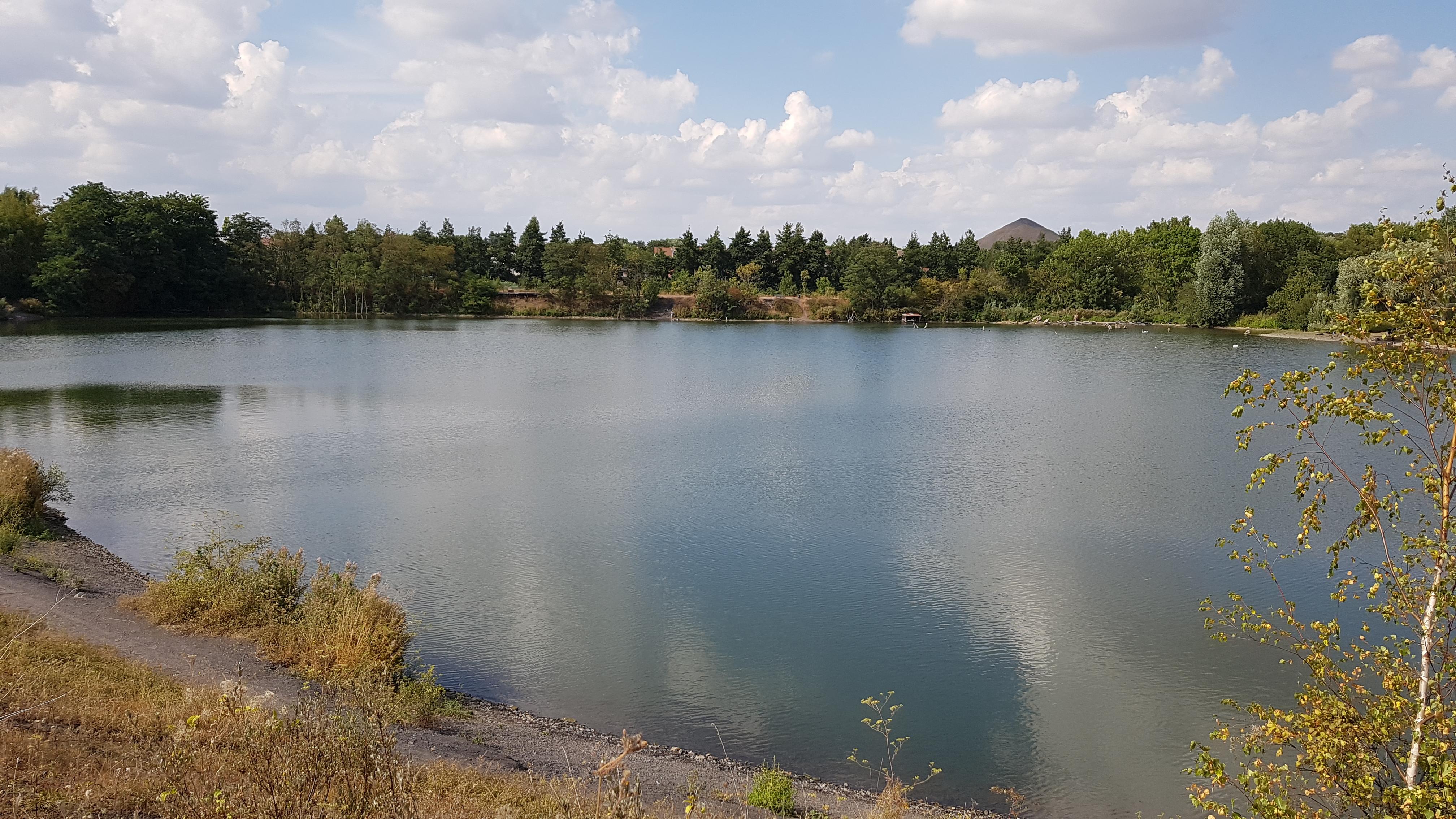 Photo n° 2 de l'avis de Sylvana.� fait le 15/08/2022 à 16:43