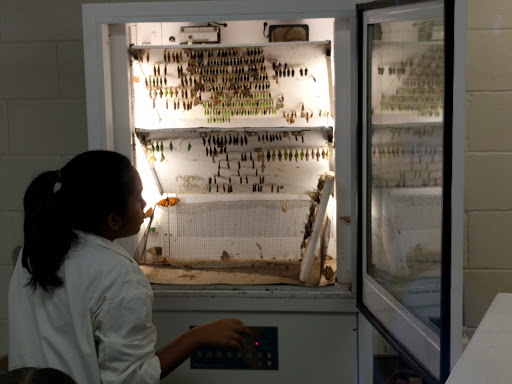 Zoo «Bronx Zoo», reviews and photos, 2300 Southern Blvd, Bronx, NY 10460, USA