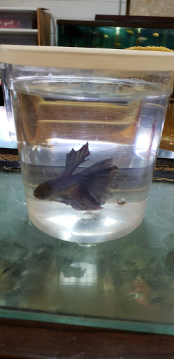 Pet Supply Store «Pet Den», reviews and photos, 1209 Nederland Ave, Nederland, TX 77627, USA