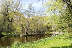 Mühlpark Großzschocher - Anton-Zickmantel-Park image