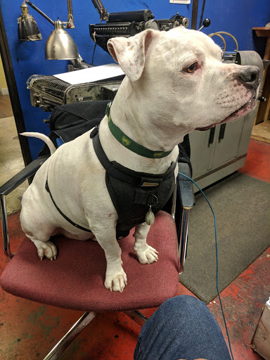 Commercial Printer «Paulson Printing Co», reviews and photos, 125 N 19th St, St Helens, OR 97051, USA