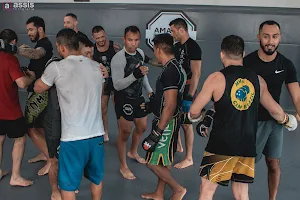 MMA CAMP BRAZIL image