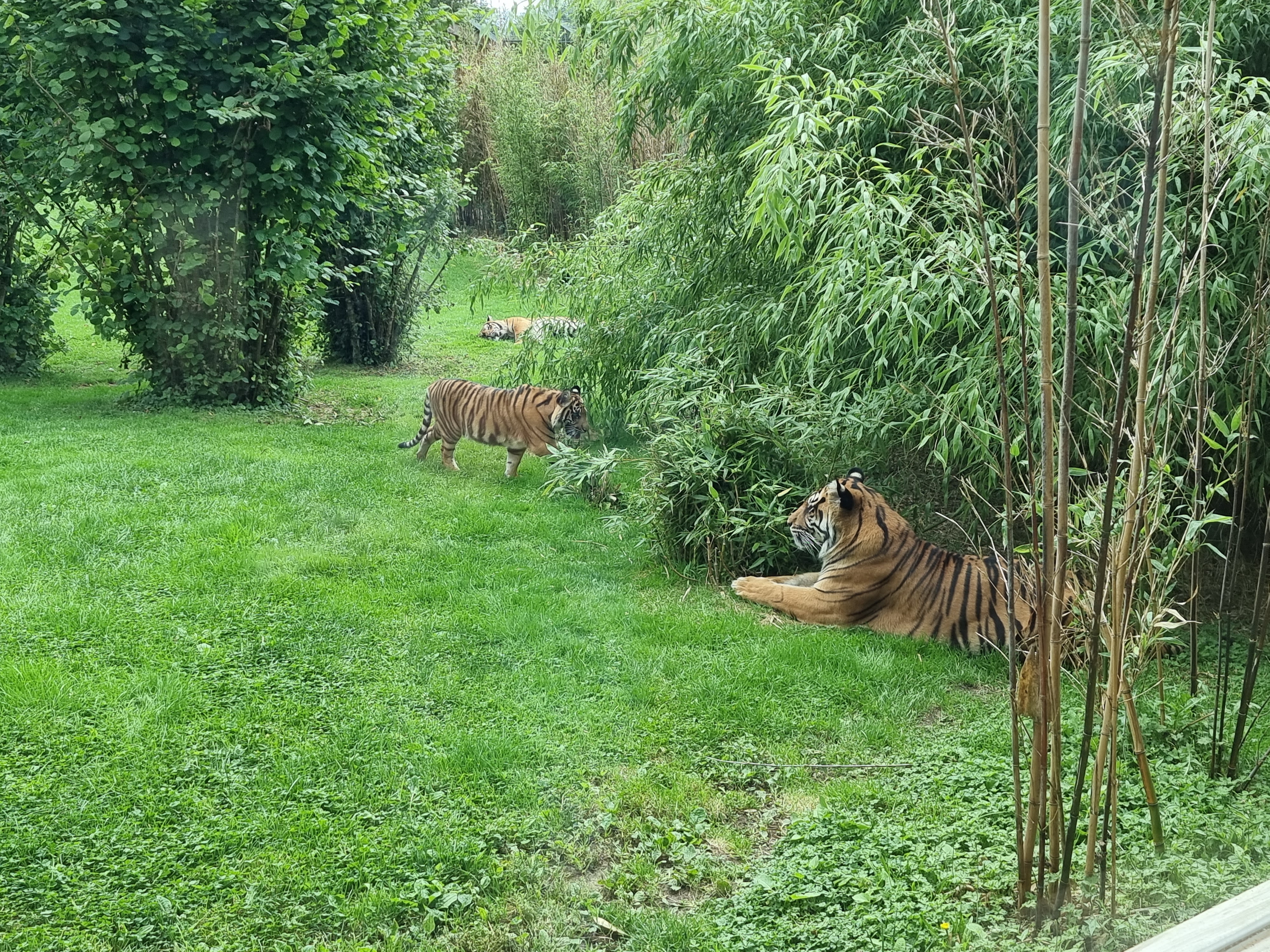 Photo n° 12 de l'avis de Stephane.e fait le 21/09/2021 à 17:35