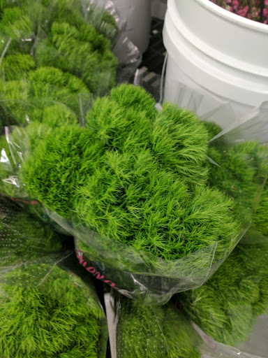 Florist «Market Flowers», reviews and photos, 200 East Lyndale Ave N, Minneapolis, MN 55405, USA