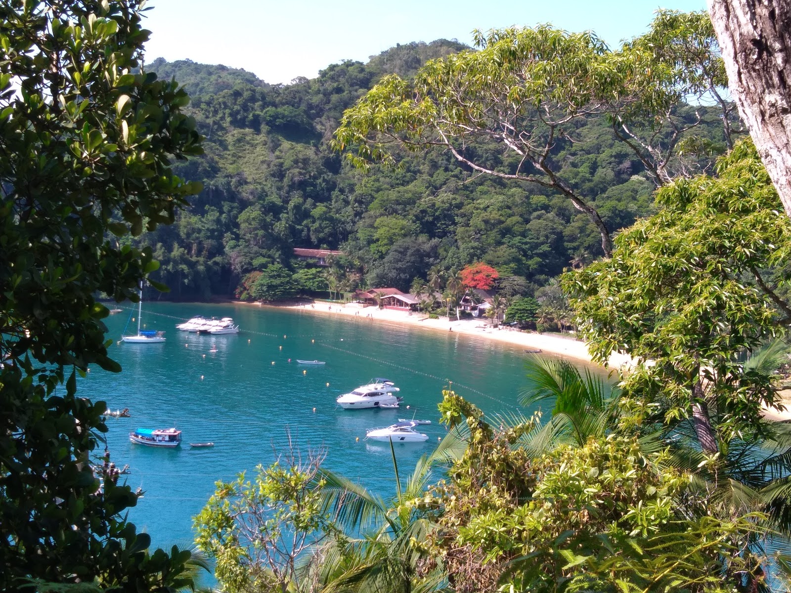 Praia do Flamengo的照片 具有非常干净级别的清洁度