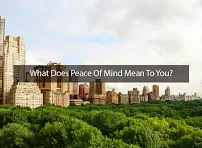 Peace Of Mind Technologies - Car repair in New York, NY, New York - Rated 4.4/5