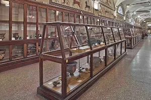 Archaeological Museum of Bologna image
