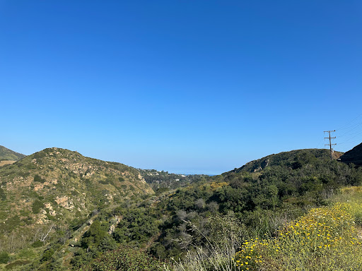 Malibu Hindu Temple image