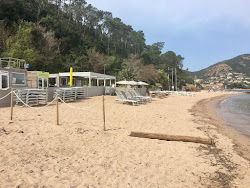 Plage de l'Aiguille'in fotoğrafı ve güzel manzarası