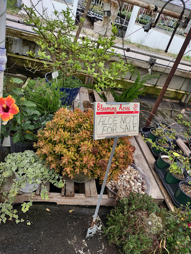 Plant Nursery «Blooming Acres», reviews and photos, 7561 State Rd, Wadsworth, OH 44281, USA