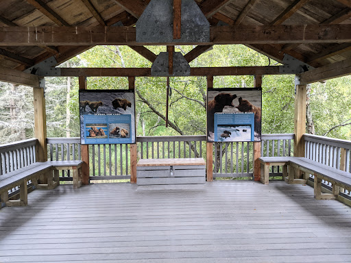 National Park «Katmai National Park and Preserve», reviews and photos