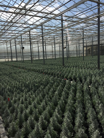 Van Zanten Greenhouses Inc