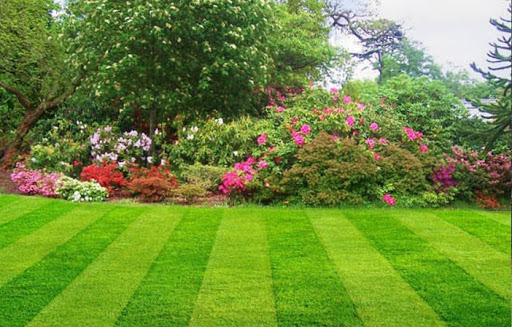 Reliable Lawncare & Property Services LLC image 2