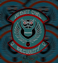 Night Owl Security LLC. - Photo 2 - Car repair in , Laredo