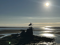 Ancient Roots Acupuncture and Herbal Medicine - Photo 6 - Car repair in Providence, RI, Providence