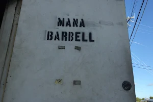 Mana Barbell image