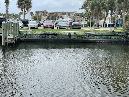 Environmental Protection Organization «Manatee Observation and Education Center», reviews and photos, 480 N Indian River Dr, Fort Pierce, FL 34950, USA