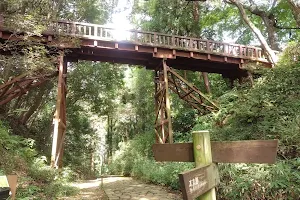 Takiyama Castle Ruins image