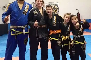 Aliados Brazilian jiu-jitsu image