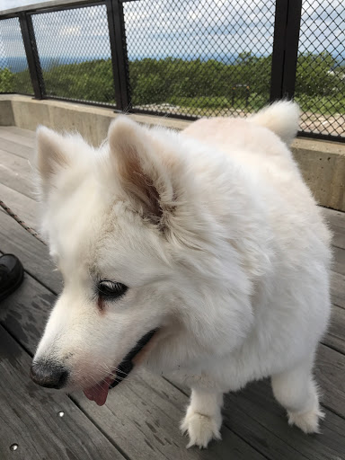 State Park «Wachusett Mountain State Reservation», reviews and photos, 345 Mountain Rd, Princeton, MA 01541, USA