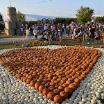Photo n°3 de l'avis de Alfredo.e fait le 27/10/2023 à 13:51 sur le  Il Villaggio delle Zucche à San Martino Siccomario