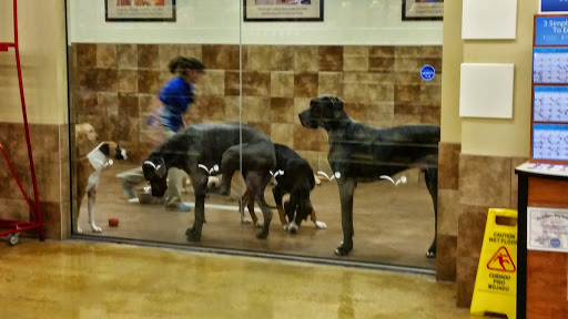 Pet Supply Store «PetSmart», reviews and photos, 700 N Milwaukee Ave, Vernon Hills, IL 60061, USA