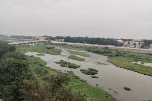 Vaigai River image