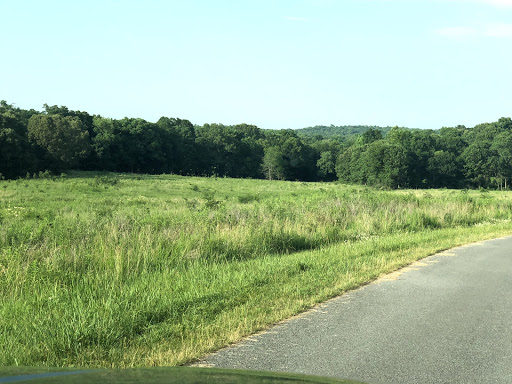 Nature Preserve «Elk and Bison Prairie», reviews and photos, Elk & Bison Prairie Rd, Golden Pond, KY 42211, USA