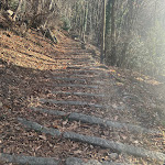 Photo n°1 de l'avis de Mantas.i fait le 22/01/2023 à 14:55 sur le  Home Restaurant  La casa di Alba à Montepiatto