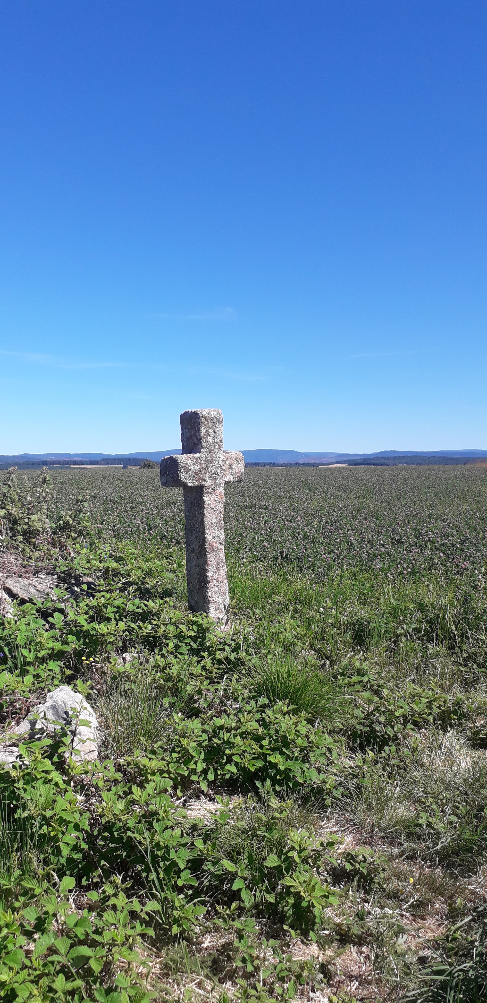 Photo n° 2 de l'avis de Alain.u fait le 27/08/2020 à 15:12