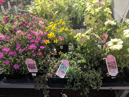 Hardware Store «Orchard Supply Hardware», reviews and photos, 2245 Gellert Blvd, South San Francisco, CA 94080, USA