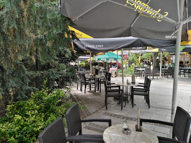 Opinii despre СНЕКБАР БОХЕМИ în Силистра - Бар