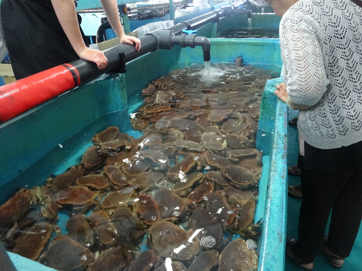 Photo n° 1 de l'avis de Walk.u fait le 26/01/2017 à 09:00